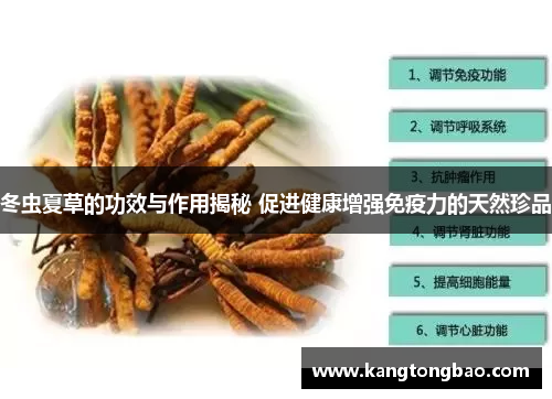冬虫夏草的功效与作用揭秘 促进健康增强免疫力的天然珍品