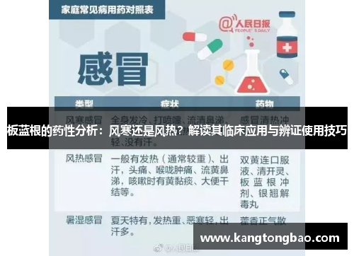 板蓝根的药性分析：风寒还是风热？解读其临床应用与辨证使用技巧