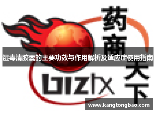 湿毒清胶囊的主要功效与作用解析及适应症使用指南