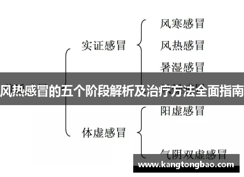 风热感冒的五个阶段解析及治疗方法全面指南